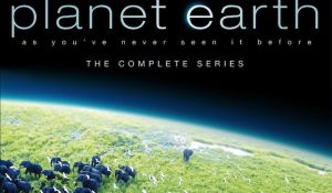 The Top 10 Best Documentaries on Netflix Streaming Instantly