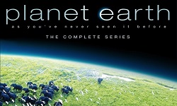Best Documentaries on Netflix