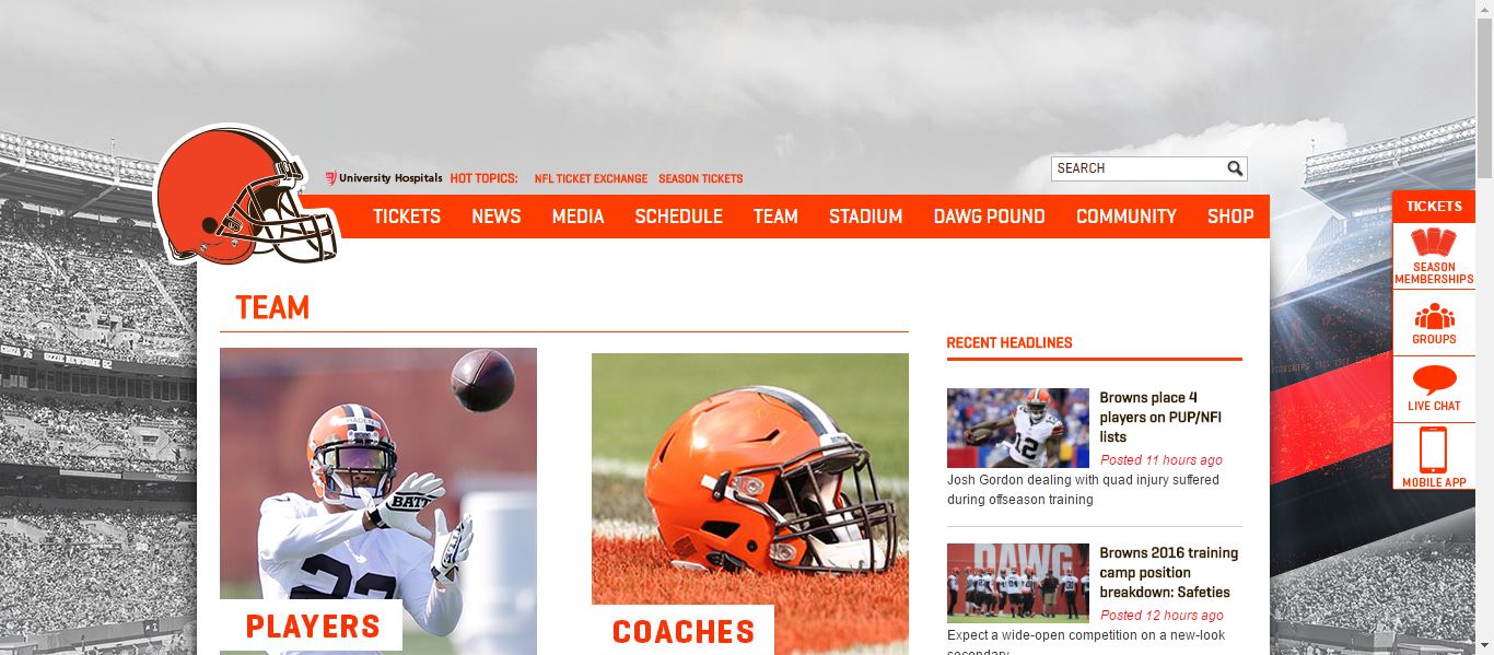 How to Stream Cleveland Browns Games Live with a VPN - EarthWeb