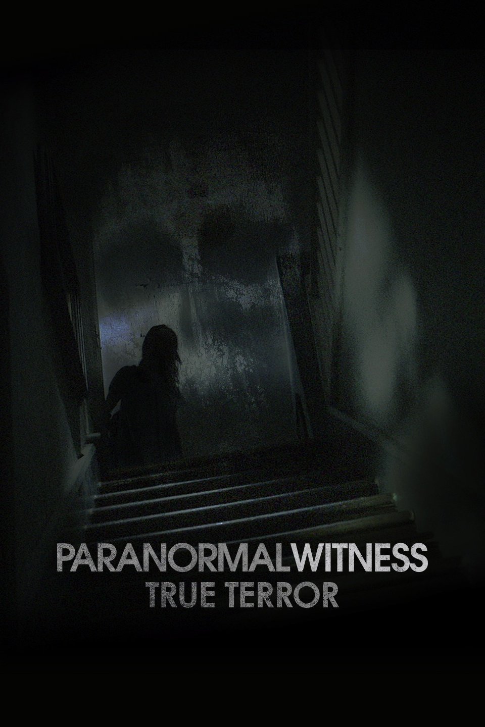 hulu paranormal witness