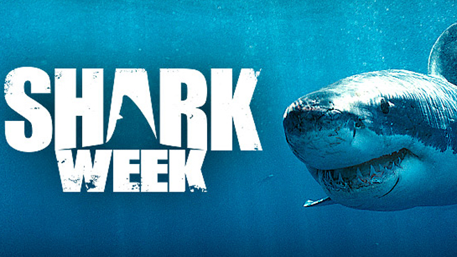 Watch Shark Week Online & Streaming for Free - Exstreamist